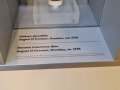 20230511_104345