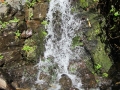 IMG_1539